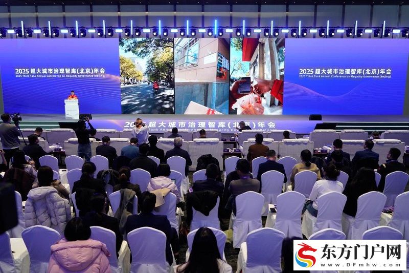 2025超大城市治理智库交流会（北京）举行(图2)