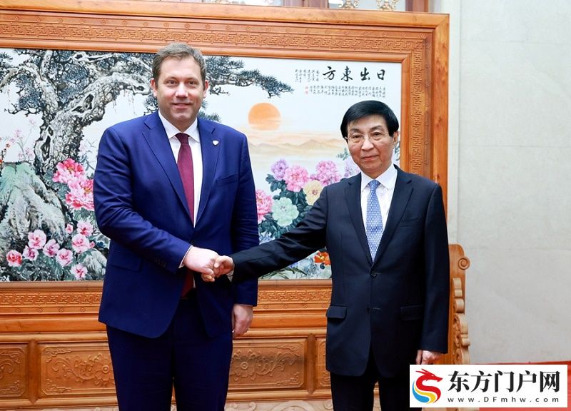 王沪宁会见德国社民党代表团