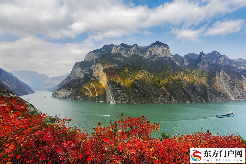 百万亩绚烂红叶向世界发出盛情之约 第十九届重庆长江三峡(巫山)国际红叶节开幕(图4) 百万亩绚烂红叶向世界发出盛情之约 第十九届重庆长江三峡(巫山)国际红叶节开幕(图4)