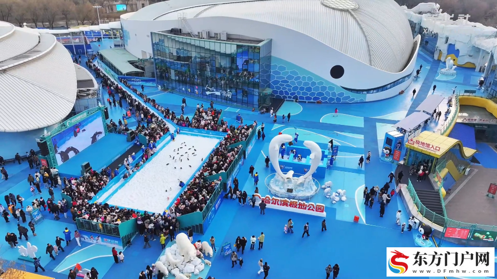 哈尔滨：三十只企鹅巡游冰雪季