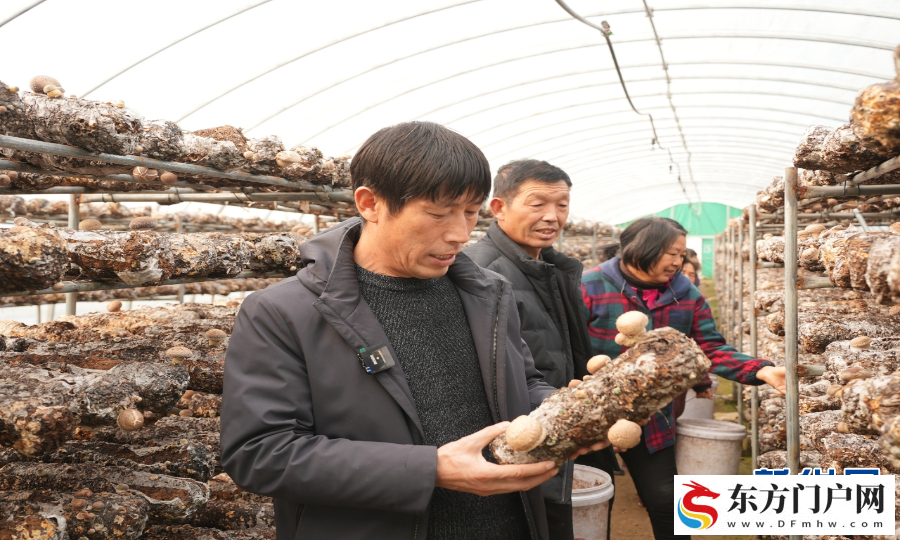 初冬收获忙(图7)