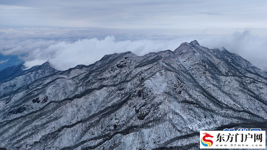 一场雪,让中原美成了这样!(图4) 一场雪,让中原美成了这样!(图4)