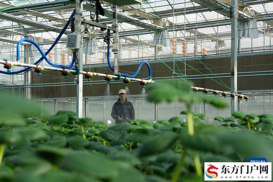 “冷资源”渐成高原“热产业”