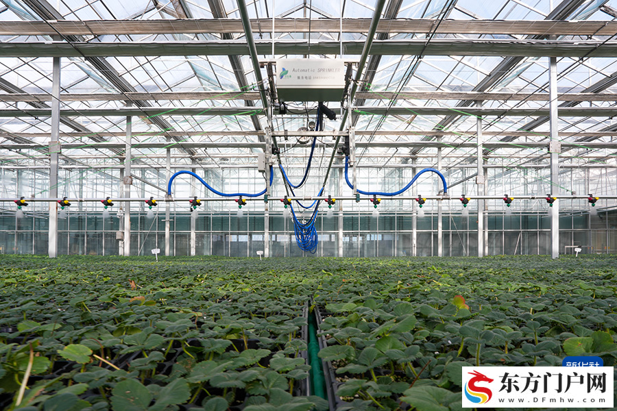 “冷资源”渐成高原“热产业”(图2) “冷资源”渐成高原“热产业”(图2)