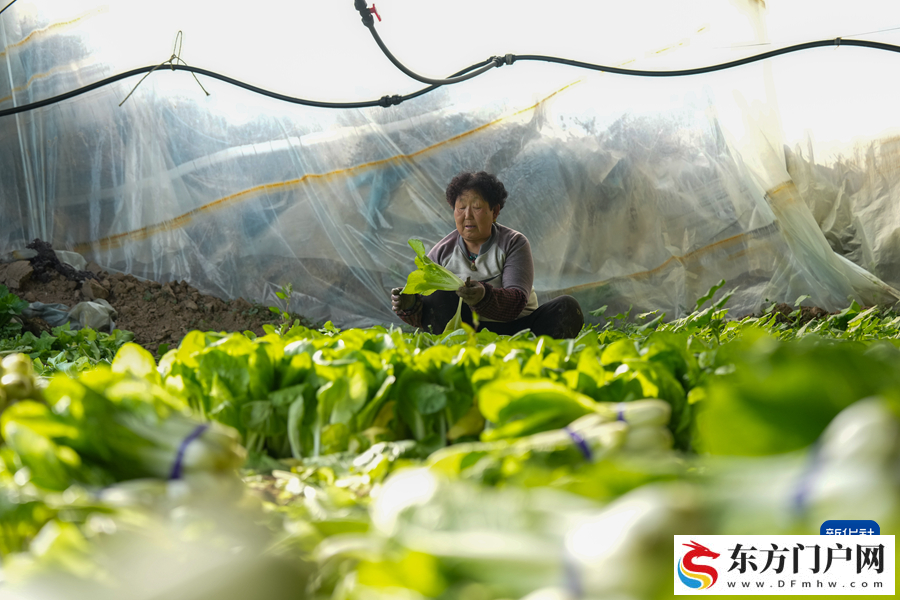 “冷资源”渐成高原“热产业”(图3) “冷资源”渐成高原“热产业”(图3)