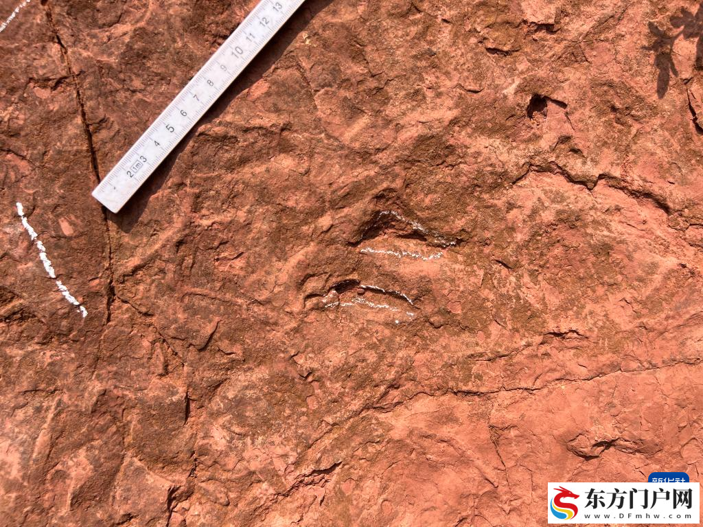 科学家发现早侏罗世重要恐龙足迹组合(图3) 科学家发现早侏罗世重要恐龙足迹组合(图3)