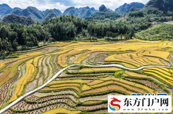 黔南农业：筑牢根基兴产业 提质增效谱新篇