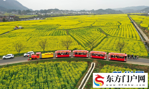 黔南农业:筑牢根基兴产业 提质增效谱新篇(图3) 黔南农业:筑牢根基兴产业 提质增效谱新篇(图3)