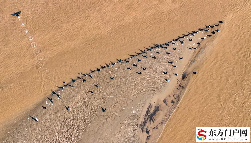 拓展流域经济 做好江河“大文章”(图3)