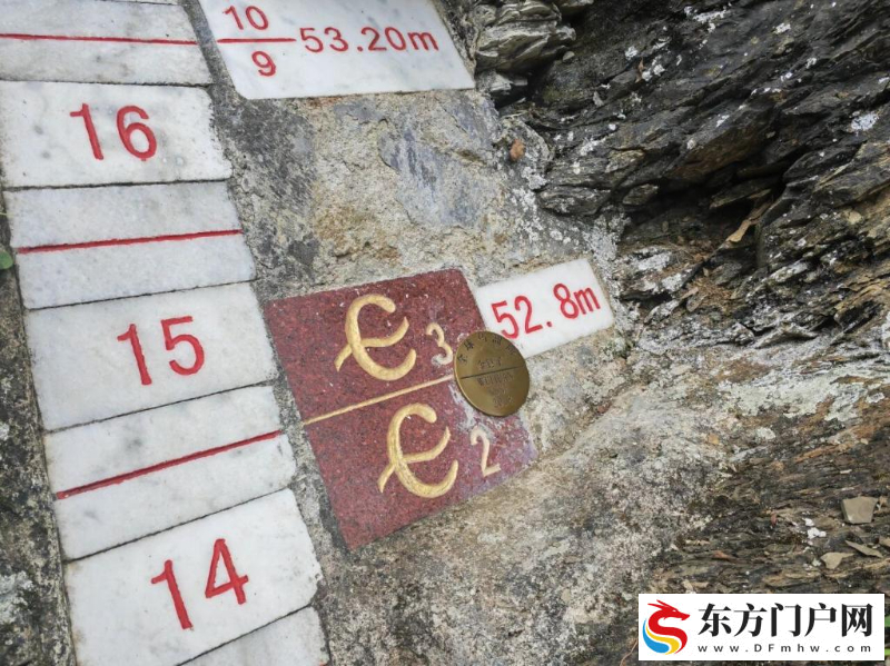 “金钉子”，面临失管难题