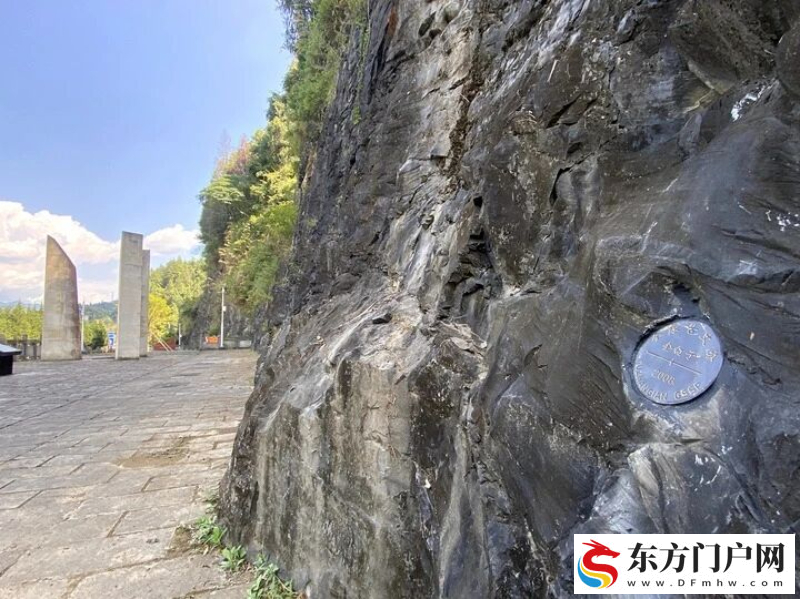 “金钉子”，面临失管难题(图2)