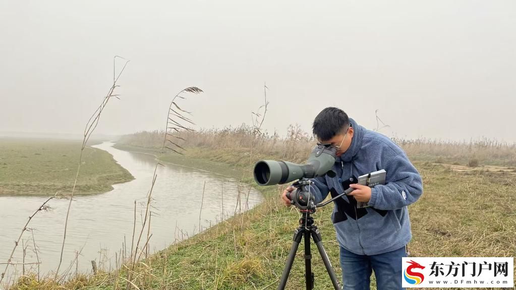 数十万只候鸟，是怎么“数”出来的？