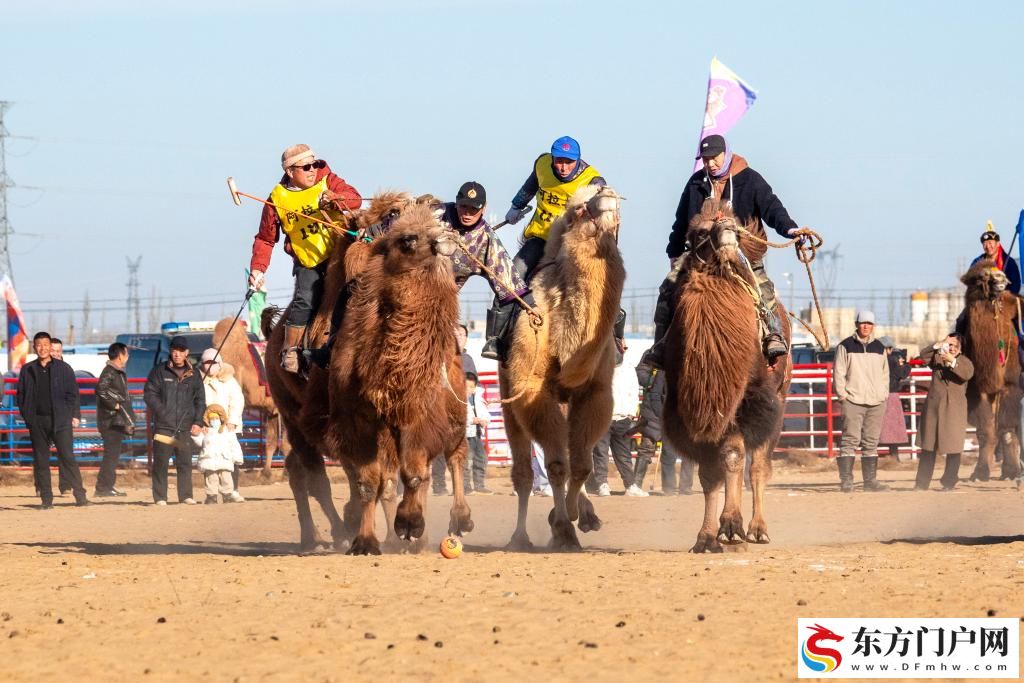 内蒙古：2025阿拉善骆驼超级联赛激战正酣