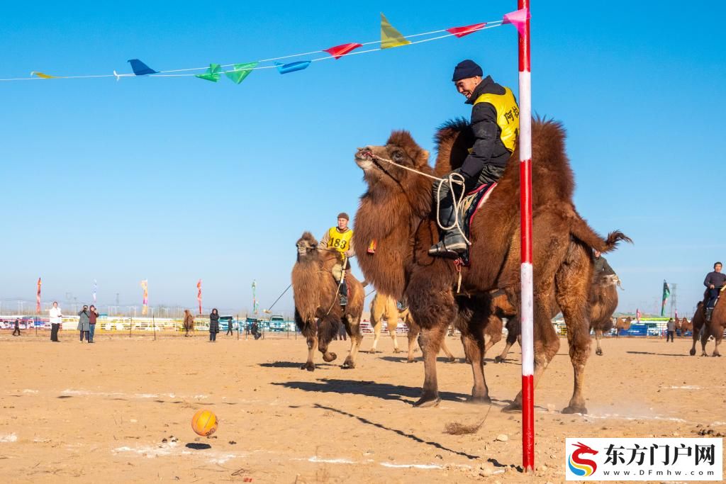 内蒙古：2025阿拉善骆驼超级联赛激战正酣(图5)