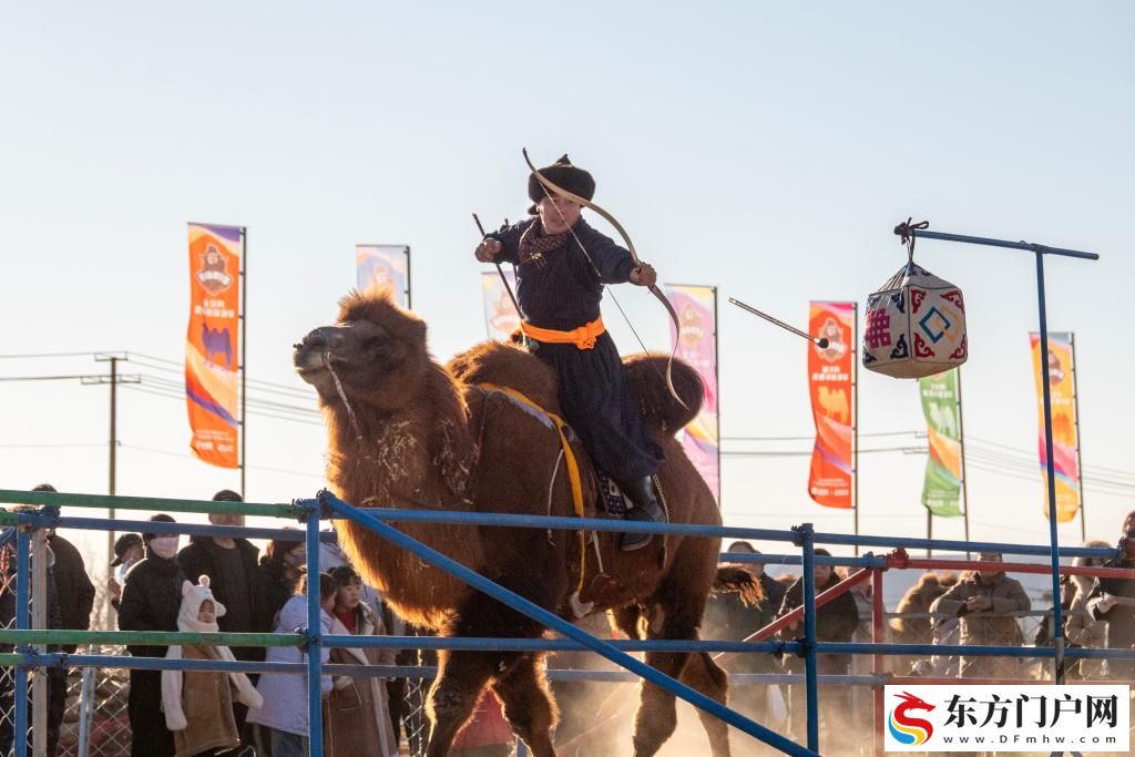 内蒙古：2025阿拉善骆驼超级联赛激战正酣(图8)