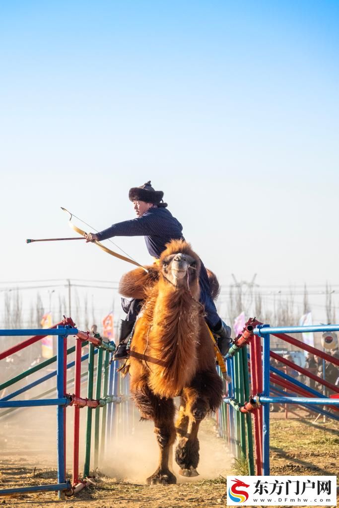 内蒙古：2025阿拉善骆驼超级联赛激战正酣(图9)