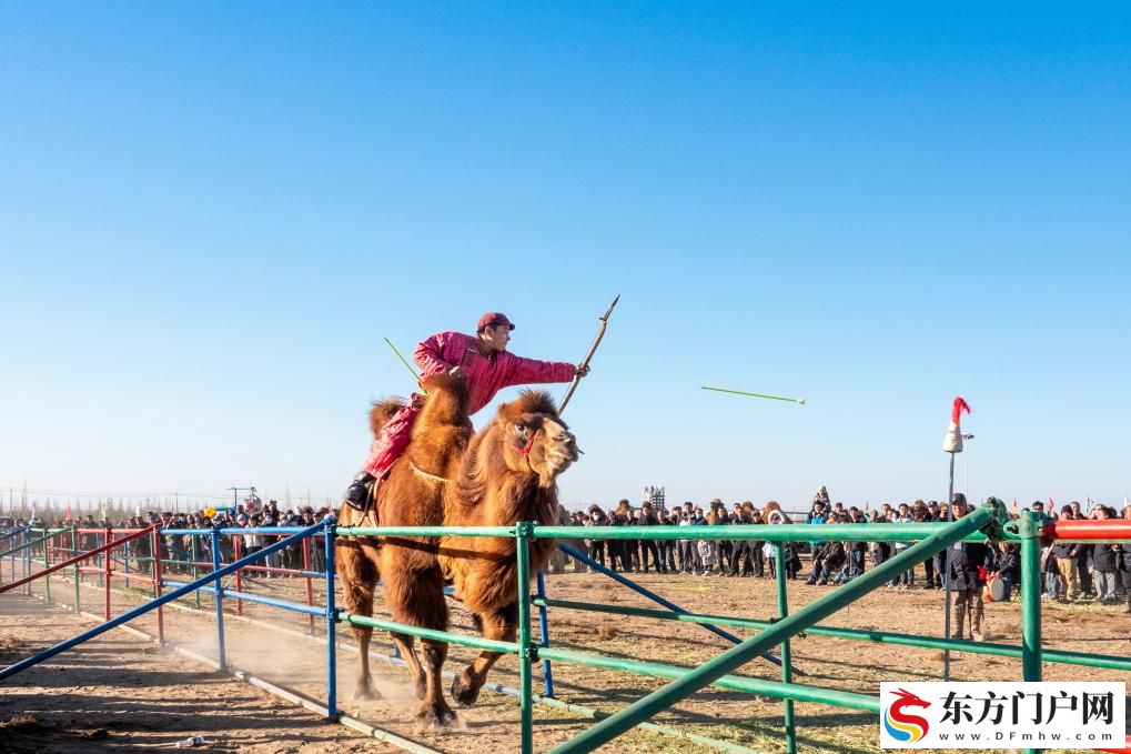 内蒙古：2025阿拉善骆驼超级联赛激战正酣(图10)