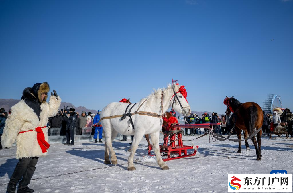 呼和浩特：哈素海第四届冬捕节开幕(图7)