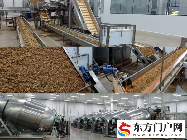 “云药”何以持久飘香——云南中医药产业高质量发展观察(图3)