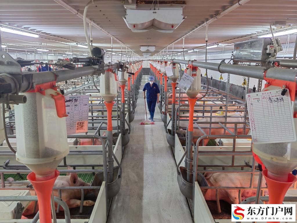 金融活水绘就乡村振兴新图景(图1)