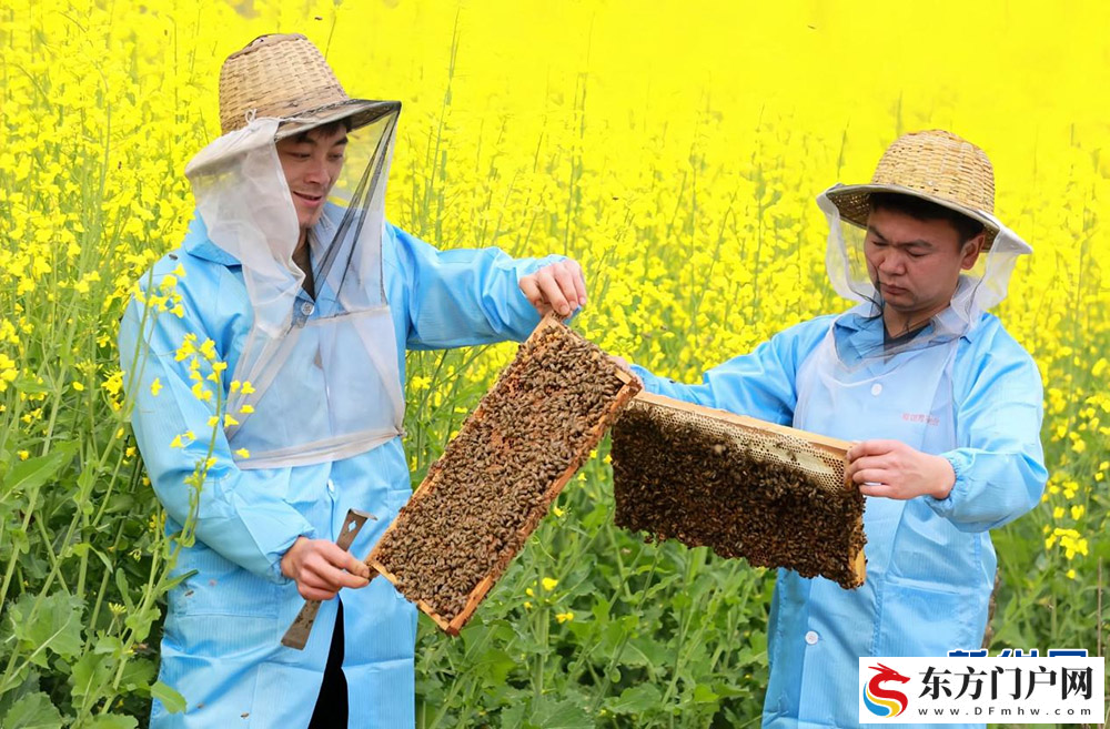 “大山里的蜜我寻到了，我心里的蜜也装满了”(图1)