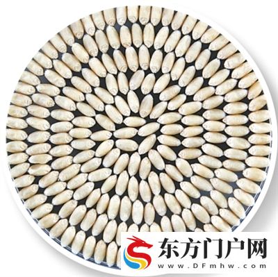 麦香里的新品种(图5)