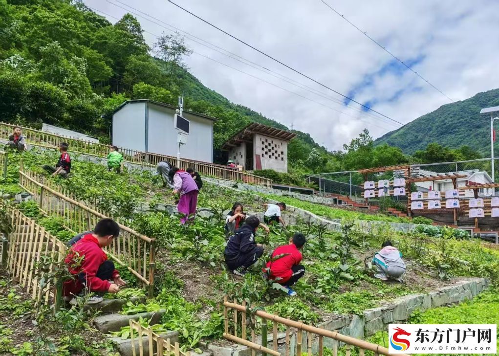 云深有书声 师爱汇星河——探访大山深处的教师